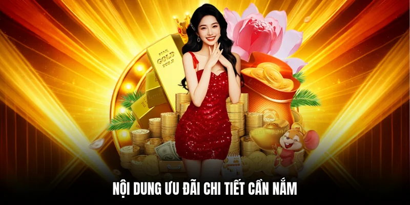 Nội dung ưu đãi chi tiết cần nắm
